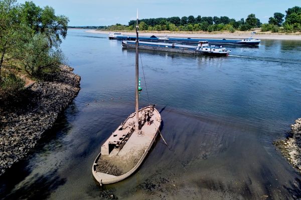 В реке Рейн из-за жары и засухи появились из-под воды затонувшие старые баржи, когда-то занимавшиеся ловлей угрей.
