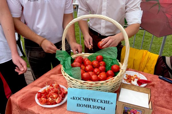 Дегустация томатов, семена которых побывали в космосе Дегустация томатов, семена которых побывали в космосе - Sputnik Беларусь