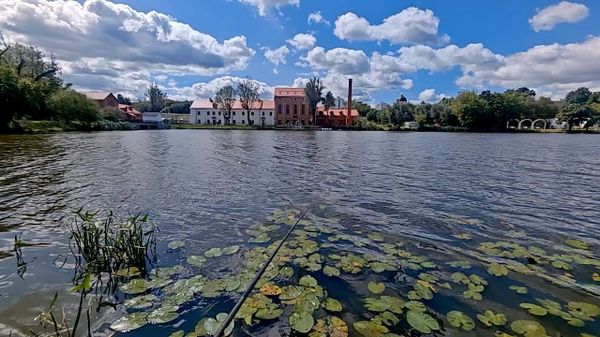 Где лучше всего клюет в Минске – советы опытного рыбака - Sputnik Беларусь