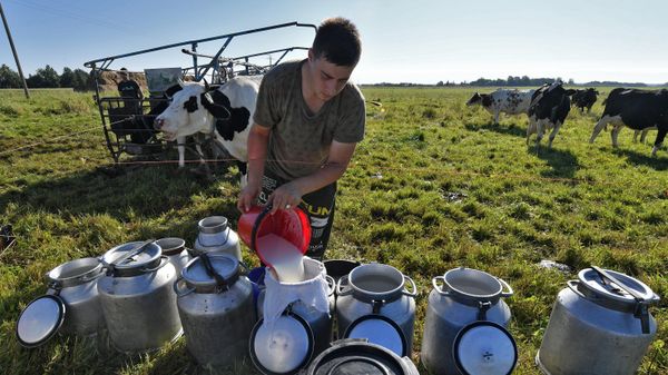 Молодой фермер Денис Ломов  - Sputnik Беларусь