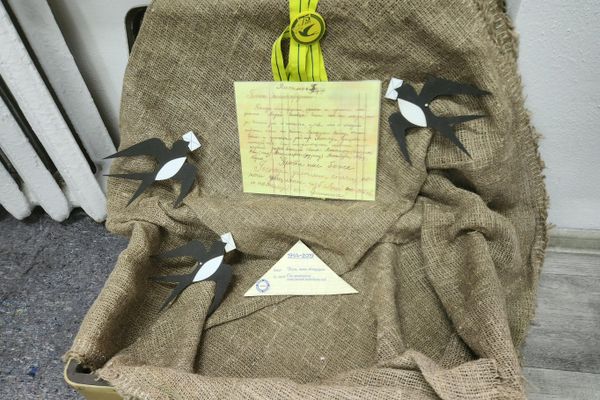 Выставки, посвященные блокадному Ленинграду в СШ №28 г. Витебска Выставки, посвященные блокадному Ленинграду в СШ №28 г. Витебска - Sputnik Беларусь