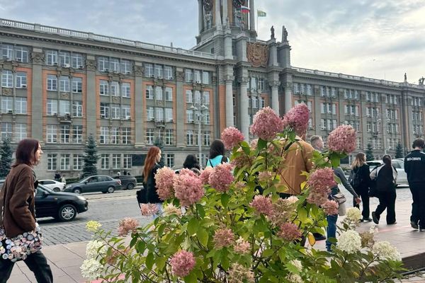 Международный фестиваль молодежи в Екатеринбурге
Международный фестиваль молодежи в Екатеринбурге
- Sputnik Беларусь