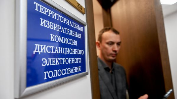 Дистанционное электронное голосование, архивное фото - Sputnik Беларусь