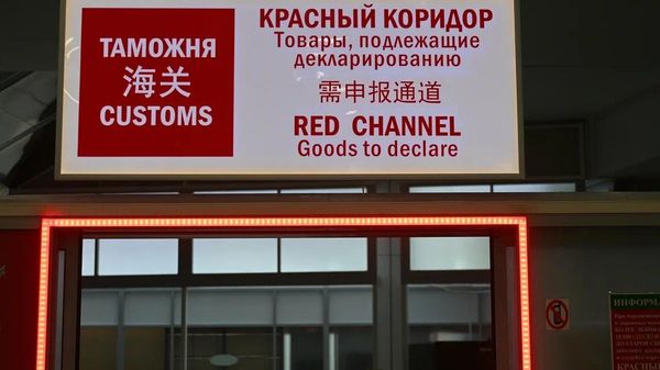 Работа таможенной службы в Национальном аэропорту Минск - Sputnik Беларусь