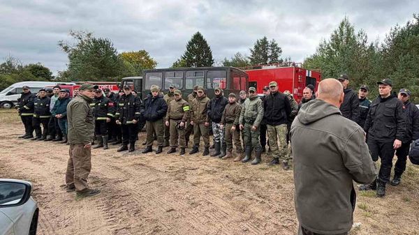 Около ста человек задействованы в поиске пропавшего грибника в Свислочском районе - Sputnik Беларусь