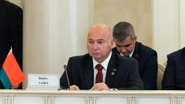 Генпрокурор Беларуси Дмитрий Гора - Sputnik Беларусь