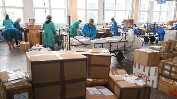 Мытня дае дабро: як правяраюць пасылкі з-за мяжы – відэа - Sputnik Беларусь