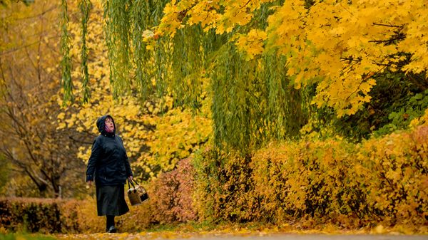 Осенний парк - Sputnik Беларусь
