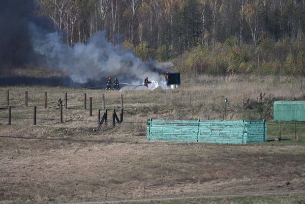 Учения миротворцев стран ОДКБ на полигоне Лосвидо - Sputnik Беларусь