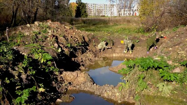 Братскую могилу пленных из концлагеря нашли в Ленинградской области (видео) - Sputnik Беларусь