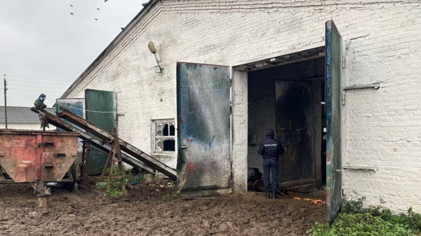 Рабочий погиб на молочно-товарной ферме в Добрушском районе - Sputnik Беларусь