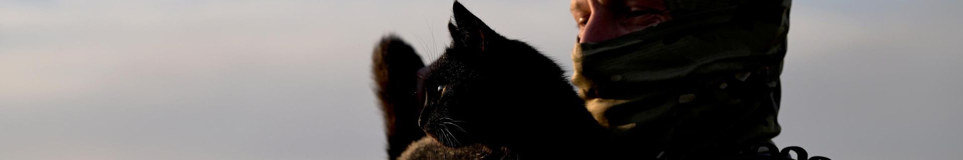 Работа летного и технического состава ударной авиации и поисково-спасательной службы в зоне проведения СВО - Sputnik Беларусь, 1920