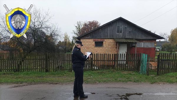 СК возбудил уголовное дело о тройном убийстве в Столинском районе - Sputnik Беларусь