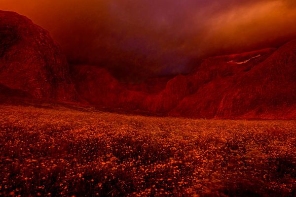 Снимок "Полночь" немецкого фотографа Антье Крейенбринк, победивший в категории "Пейзажи"."Прошлым летом, в окружении величественных гор и моря, мы наслаждались захватывающими дух пейзажами северной Норвегии. Однажды вечером, вернувшись с экскурсии, я увидел, что свет был настолько необыкновенно красив, что лечь спать было просто невозможно. Притягиваемый волшебной атмосферой, я отправился в близлежащую бухту. Темные облака висели на небе, а на горизонте над морем лишь узкая полоска полуночного солнца пробивалась сквозь них. Озаренный его теплым, сияющим светом, пейзаж преобразился в огненно-оранжевые и темно-красные оттенки, создавая почти сюрреалистическую картину. Мне захотелось запечатлеть этот мистический момент на фотографии". Снимок "Полночь" немецкого фотографа Антье Крейенбринк, победивший в категории "Пейзажи"."Прошлым летом, в окружении величественных гор и моря, мы наслаждались захватывающими дух пейзажами северной Норвегии. Однажды вечером, вернувшись с экскурсии, я увидел, что свет был настолько необыкновенно красив, что лечь спать было просто невозможно. Притягиваемый волшебной атмосферой, я отправился в близлежащую бухту. Темные облака висели на небе, а на горизонте над морем лишь узкая полоска полуночного солнца пробивалась сквозь них. Озаренный его теплым, сияющим светом, пейзаж преобразился в огненно-оранжевые и темно-красные оттенки, создавая почти сюрреалистическую картину. Мне захотелось запечатлеть этот мистический момент на фотографии". - Sputnik Беларусь