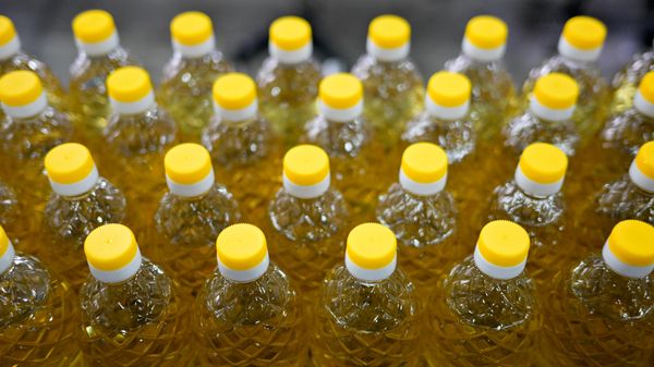 Производство растительного масла - Sputnik Беларусь