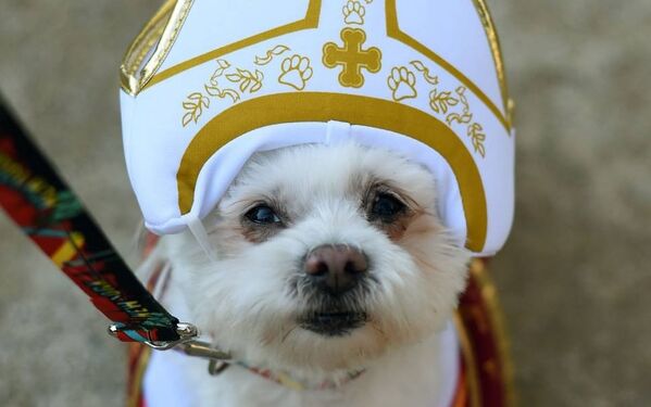 Собака в костюме Папы Римского на площади Томпкинс-сквер Нью-Йорка - Sputnik Беларусь