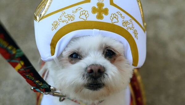 Собака в костюме Папы Римского на площади Томпкинс-сквер Нью-Йорка - Sputnik Беларусь
