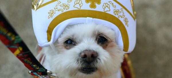 Собака в костюме Папы Римского на площади Томпкинс-сквер Нью-Йорка - Sputnik Беларусь