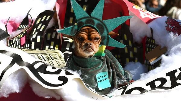Собака в костюме Статуи Свободы на параде в Нью-Йорке - Sputnik Беларусь