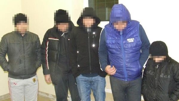 Нелегалы, задержанные на литовско-белорусской границе - Sputnik Беларусь