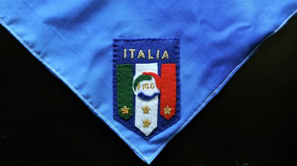 Логотип Федерации футбола Италии. Архивное фото - Sputnik Беларусь
