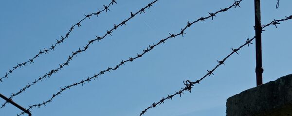 Колючая проволока. Архивное фото - Sputnik Беларусь