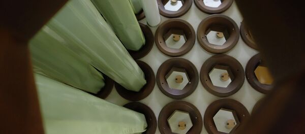 Топливные стержни для ядерного реактора - Sputnik Беларусь