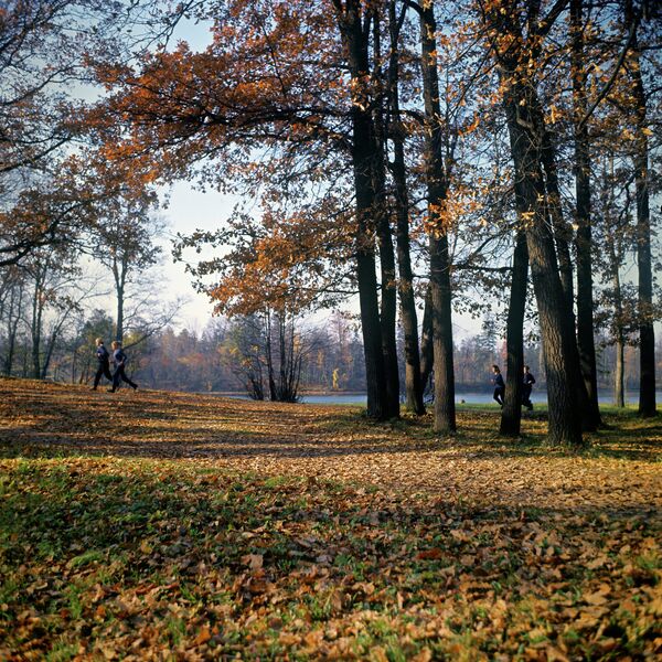 Парк осенью, архивное фото - Sputnik Беларусь