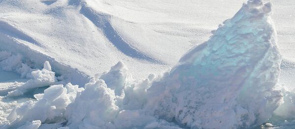 Арктический лед - Sputnik Беларусь