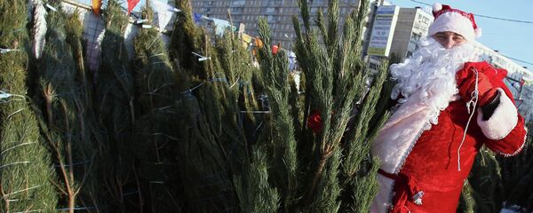 Елочные базары, архивное фото Елочные базары, архивное фото - Sputnik Беларусь