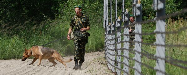 Белорусские пограничники Белорусские пограничники - Sputnik Беларусь