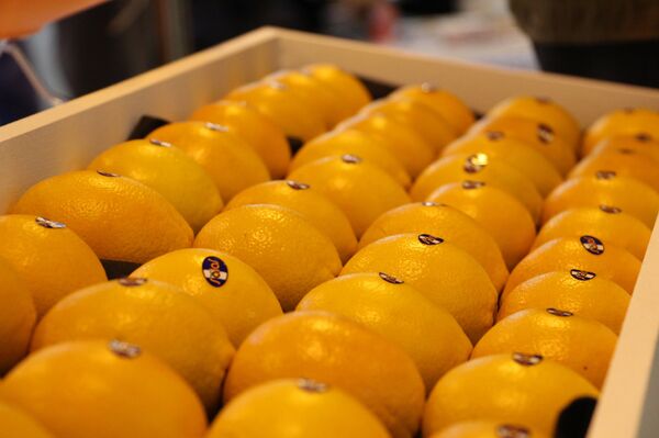 Апельсины в ящике, архивное фото - Sputnik Беларусь