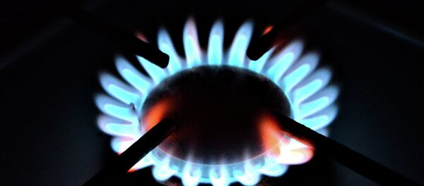 Горелка газовой плиты - Sputnik Беларусь