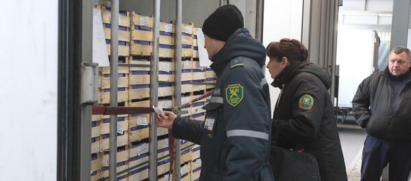 Таможня проверяет груз - Sputnik Беларусь