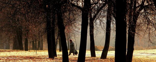 Пенсионерка в парке Пенсионерка в парке - Sputnik Беларусь