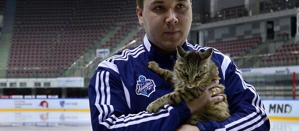 Талисман ХК Адмирал кошка Матроскина - Sputnik Беларусь