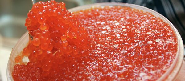 Красная икра - Sputnik Беларусь