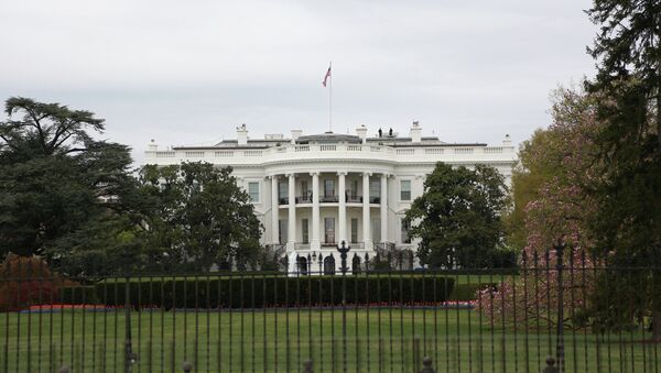 Вид на здание Белого дома в Вашингтоне, архивное фото - Sputnik Беларусь
