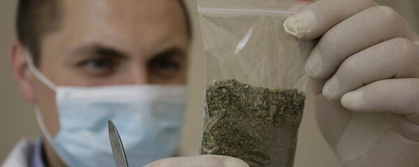 Курительная смесь на эксспертизе, архивное фото Курительная смесь на эксспертизе, архивное фото - Sputnik Беларусь