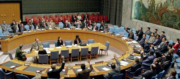 Заседание Совета Безопасности ООН - Sputnik Беларусь