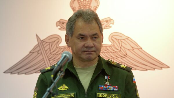 Министр обороны Российской Федерации Сергей Шойгу, архивное фото - Sputnik Беларусь