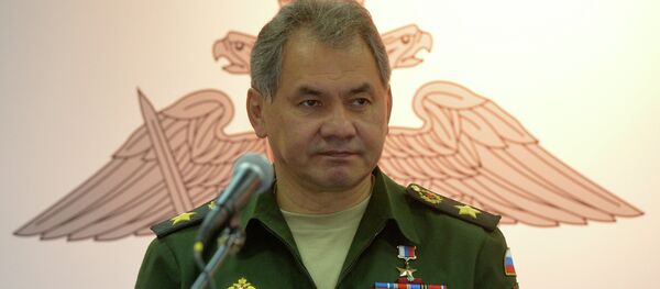 Министр обороны Российской Федерации Сергей Шойгу, архивное фото Министр обороны Российской Федерации Сергей Шойгу, архивное фото - Sputnik Беларусь