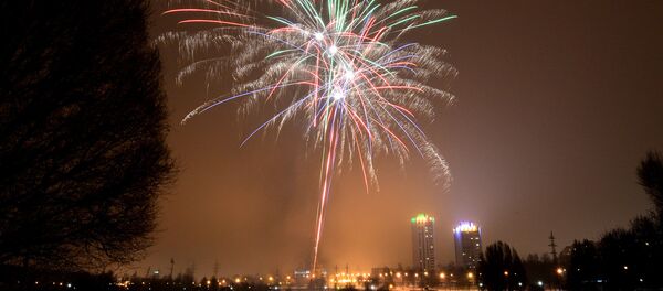 Фейерверк в новогоднюю ночь - Sputnik Беларусь
