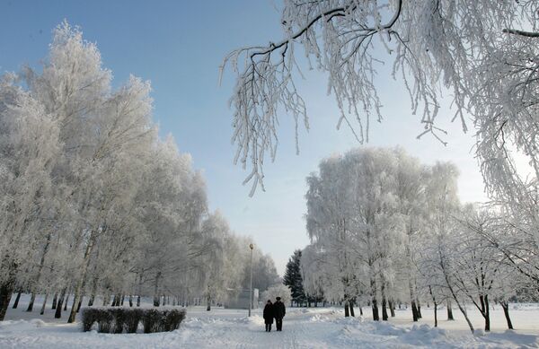 Морозы в Беларуси, архивное фото - Sputnik Беларусь