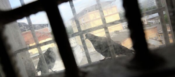 Окно в следственном изоляторе Окно в следственном изоляторе - Sputnik Беларусь