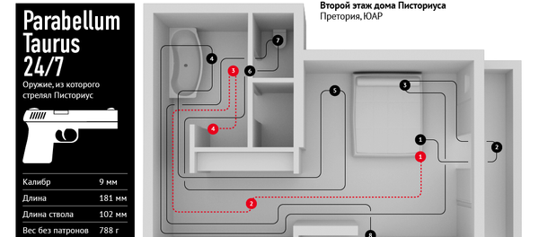 Две версии убийства девушки Оскара Писториуса - Sputnik Беларусь