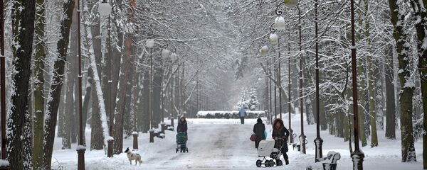 Зіма ў мінскім парку - Sputnik Беларусь