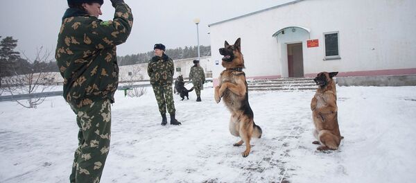 Кинологический центр в Сморгони - Sputnik Беларусь