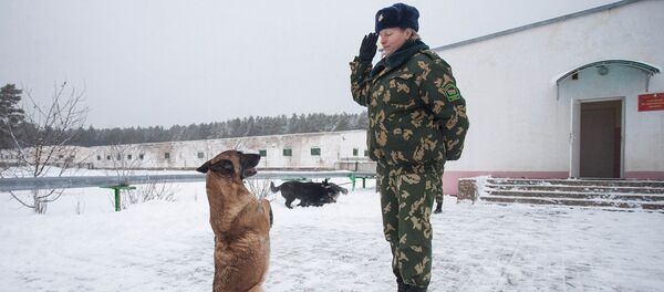 Кинологический центр, архивное фото Кинологический центр, архивное фото - Sputnik Беларусь