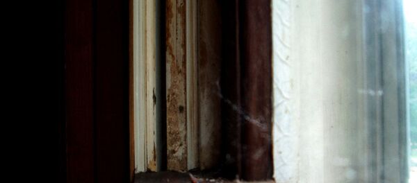 Подоконник - Sputnik Беларусь